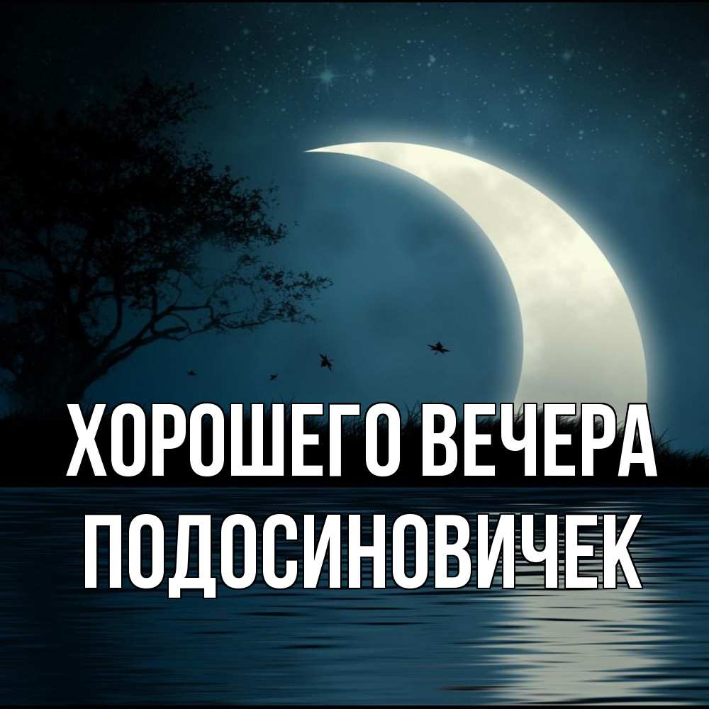Открытка  для любимых и родных. подосиновичек, Хорошего вечера  