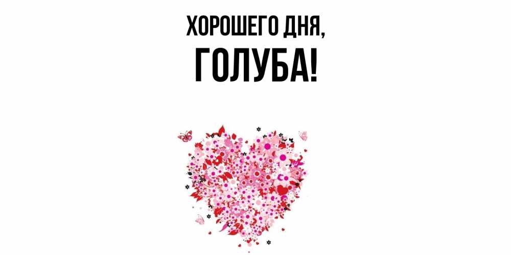 Открытка  для любимых и родных. голуба, Хорошего дня  