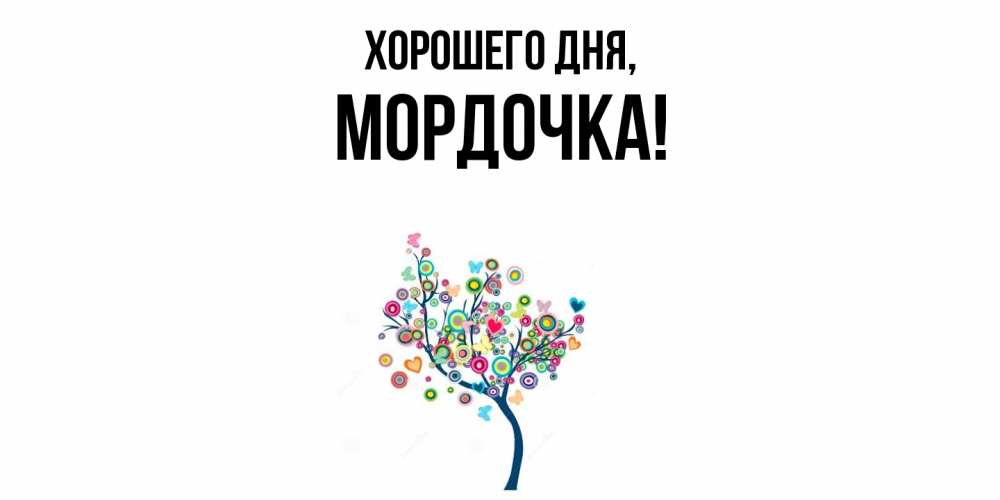 Открытка  для любимых и родных. мордочка, Хорошего дня  