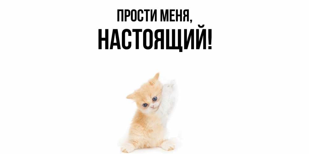 Открытка  для любимых и родных. настоящий, Прости меня  