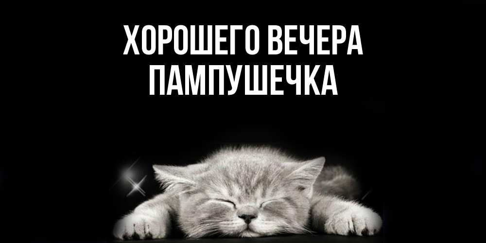 Открытка  для любимых и родных. пампушечка, Хорошего вечера  