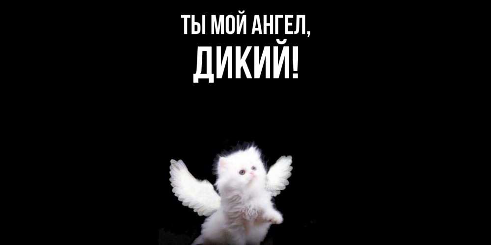 Открытка  для любимых и родных. дикий, Ты мой ангел  