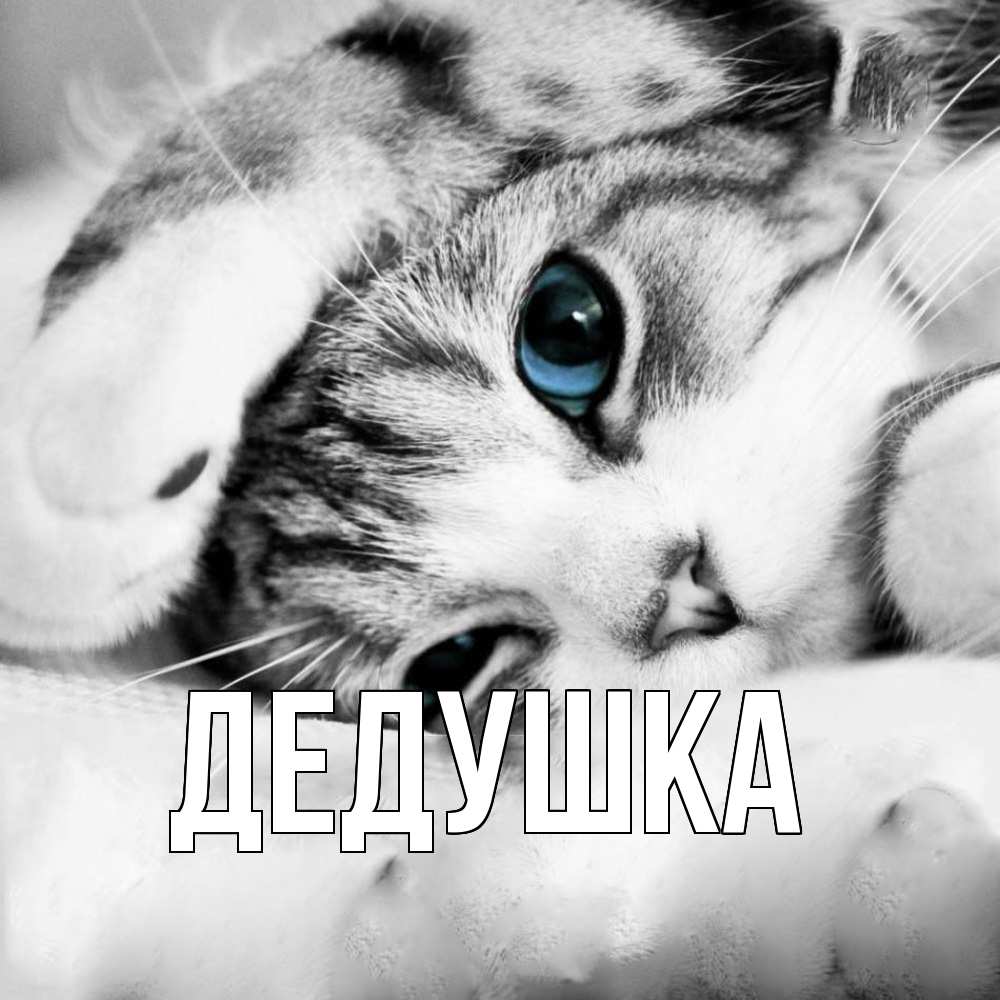 Картинка  с именем , Дедушка