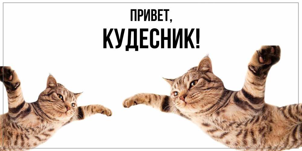 Открытка  для любимых и родных. кудесник, Привет  