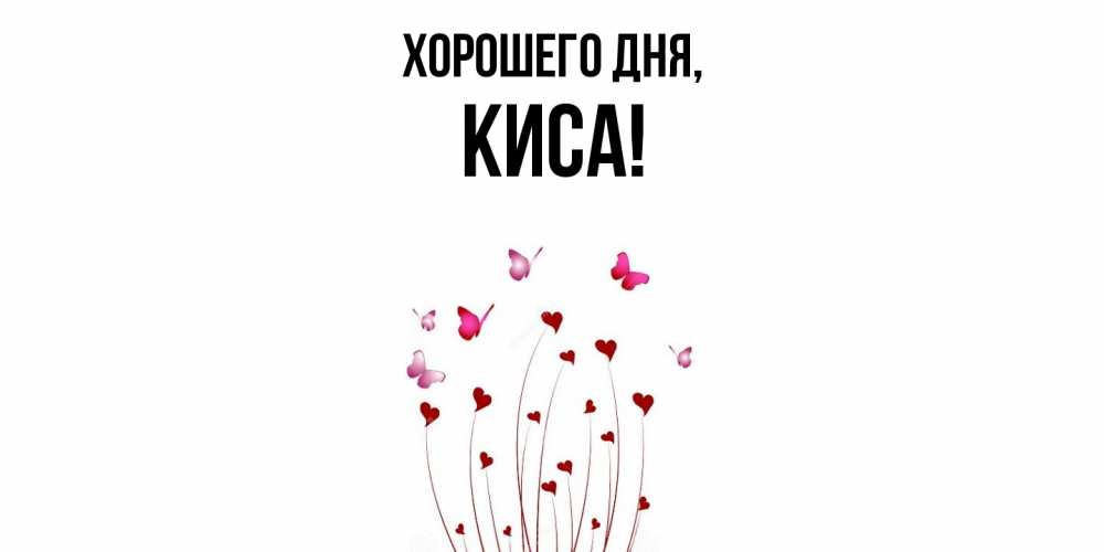 Открытка  для любимых и родных. киса, Хорошего дня  