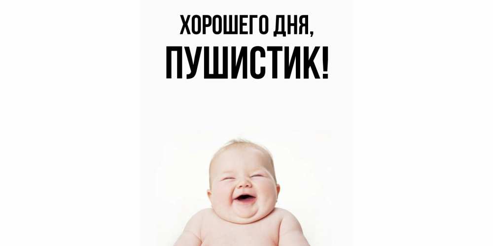 Открытка  для любимых и родных. Пушистик, Хорошего дня  