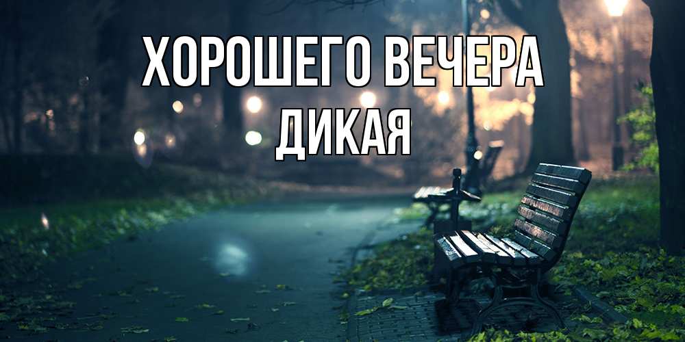Картинка Хорошего вечера, дикая
