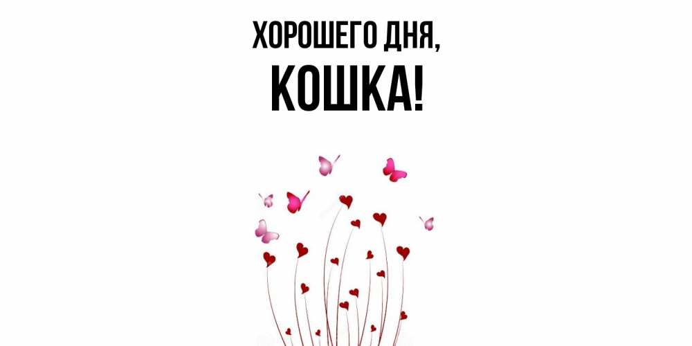 Картинка Хорошего дня, кошка