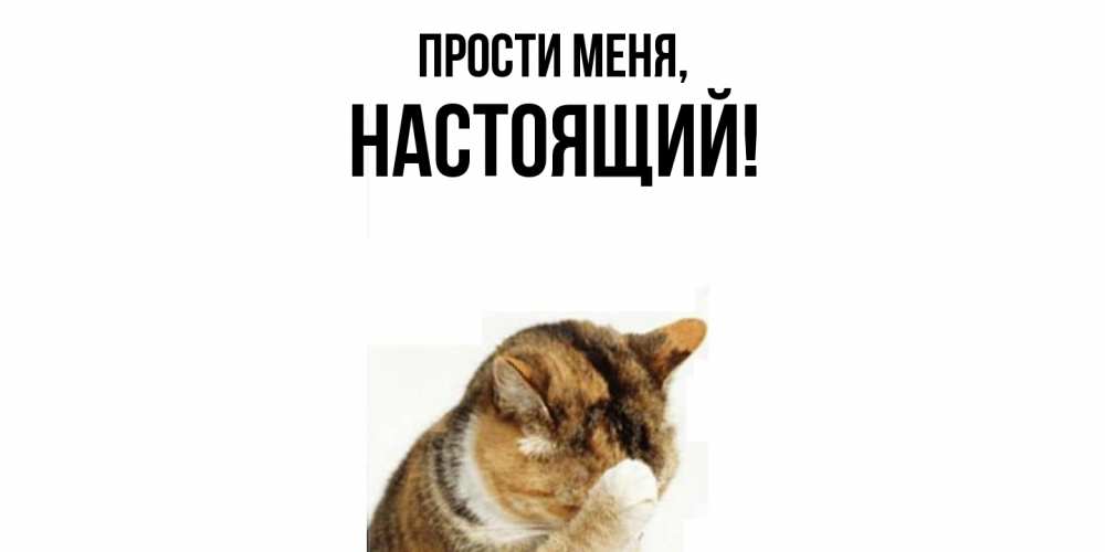 Открытка  для любимых и родных. настоящий, Прости меня  