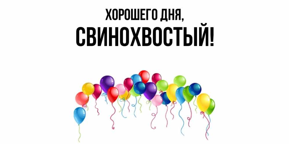 Открытка  для любимых и родных. свинохвостый, Хорошего дня  