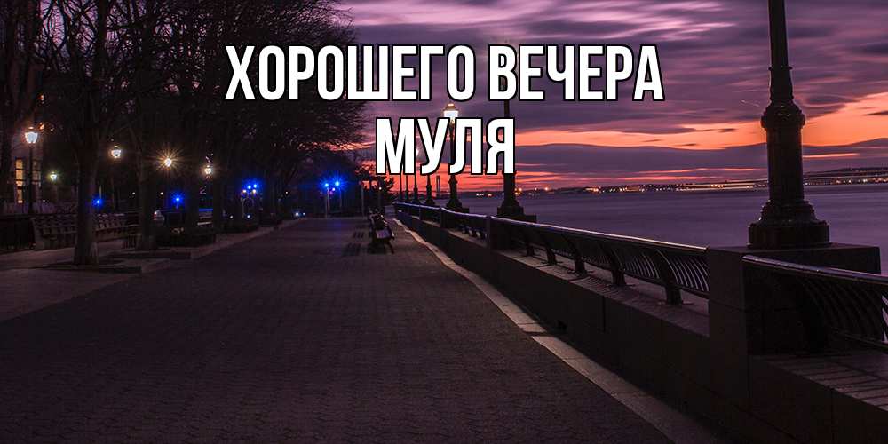 Картинка Хорошего вечера, муля