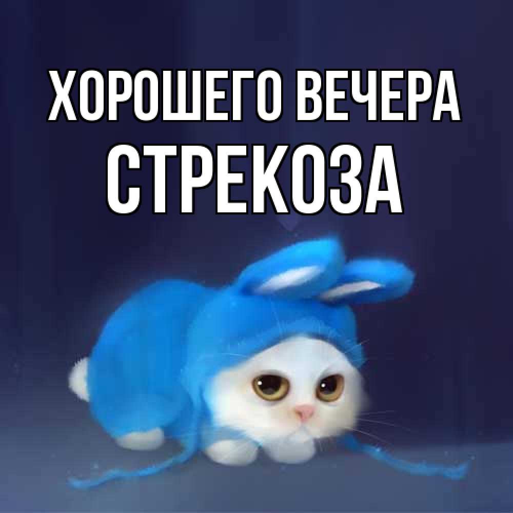 Открытка  для любимых и родных. стрекоза, Хорошего вечера  