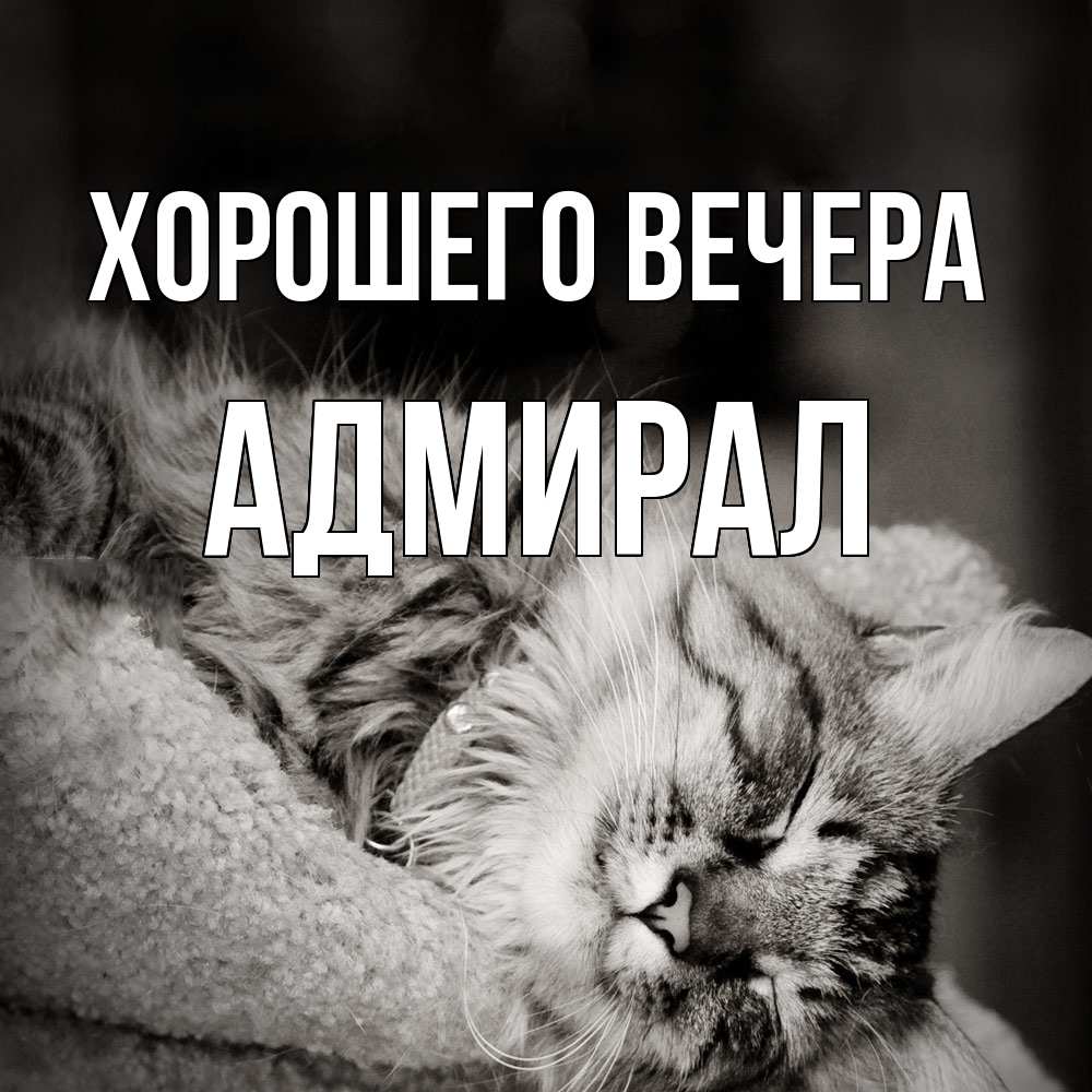 Открытка  для любимых и родных. адмирал, Хорошего вечера  