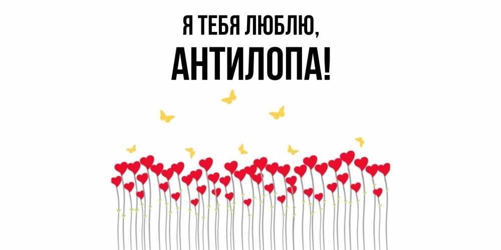 Открытка  для любимых и родных. антилопа, Я тебя люблю  