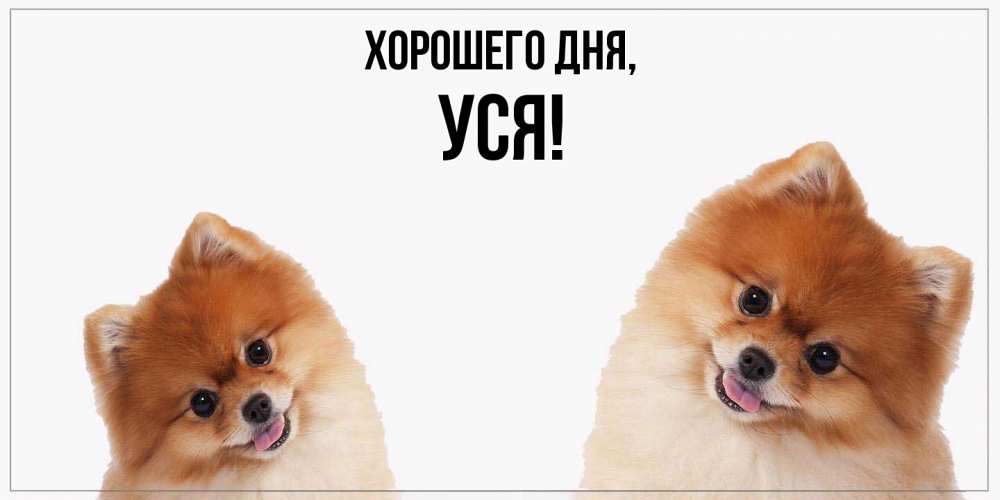 Открытка  для любимых и родных. уся, Хорошего дня  