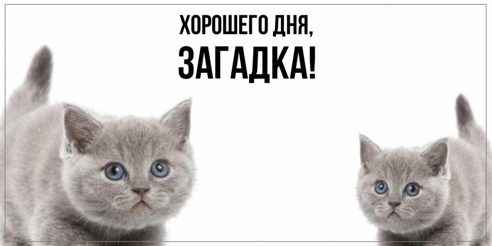 Открытка  для любимых и родных. загадка, Хорошего дня  