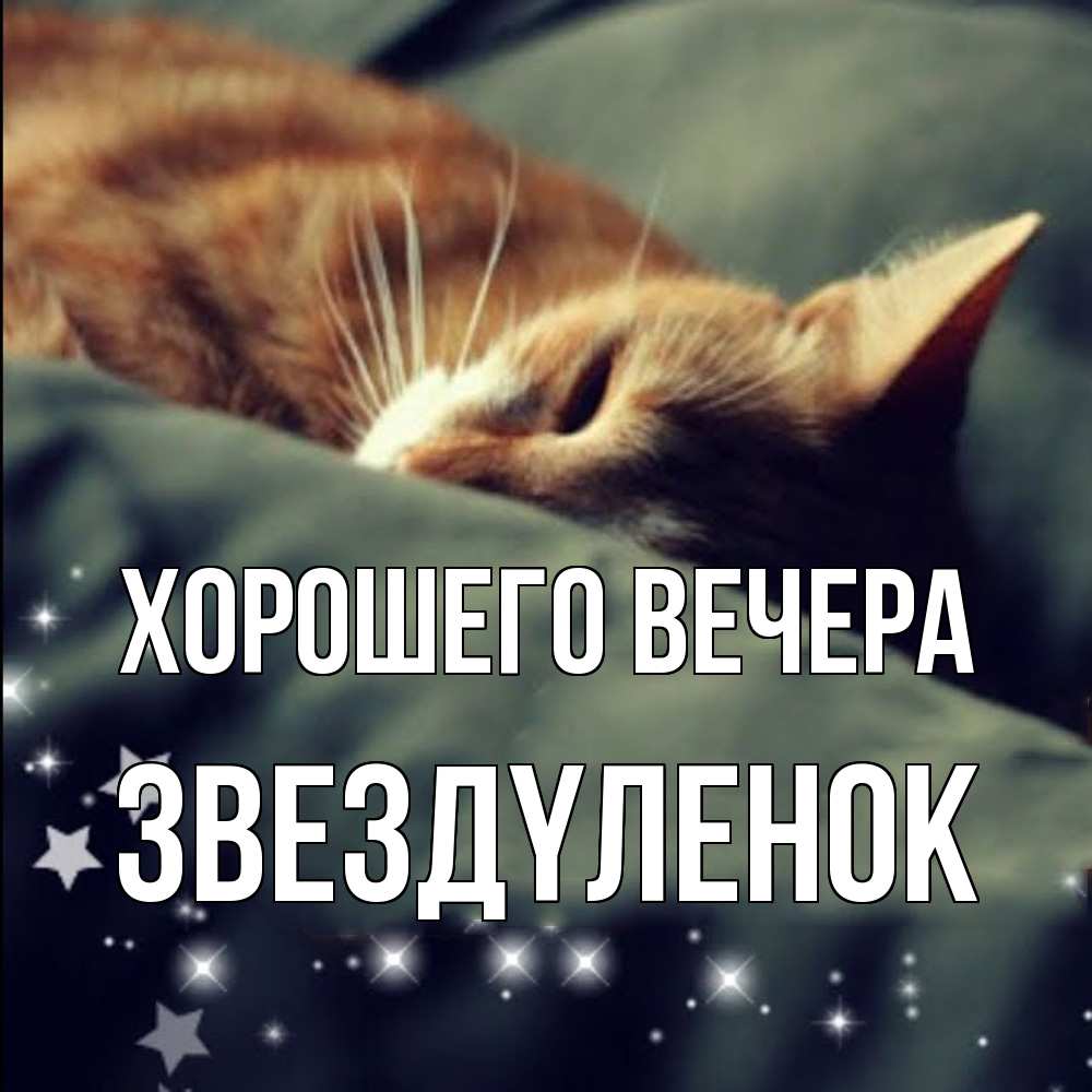 Картинка Хорошего вечера, звездyленок