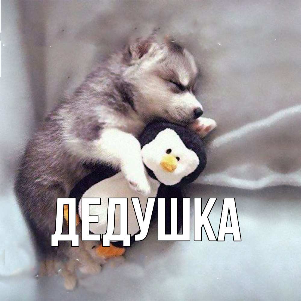 Картинка  с именем , Дедушка