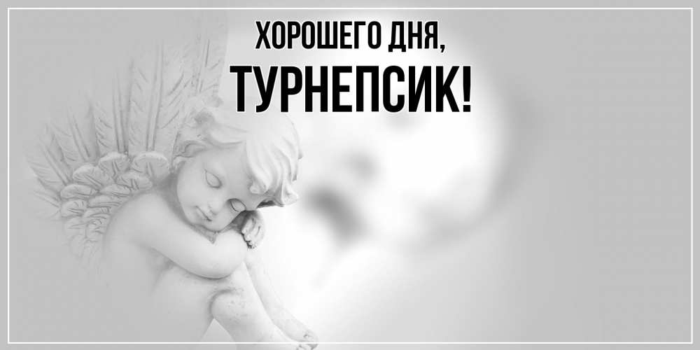 Открытка  для любимых и родных. турнепсик, Хорошего дня  