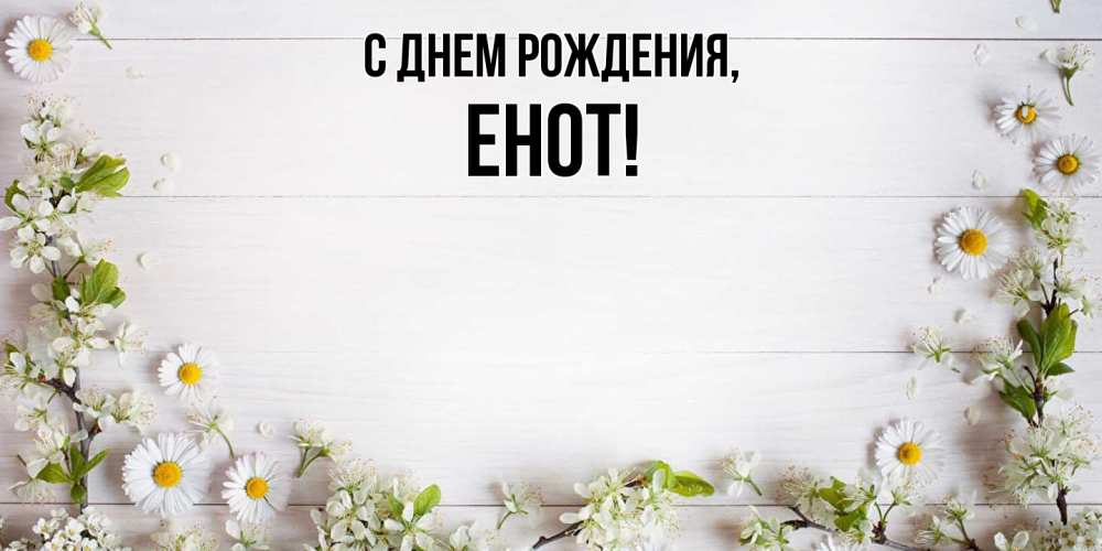 Картинка С днем рождения, енот