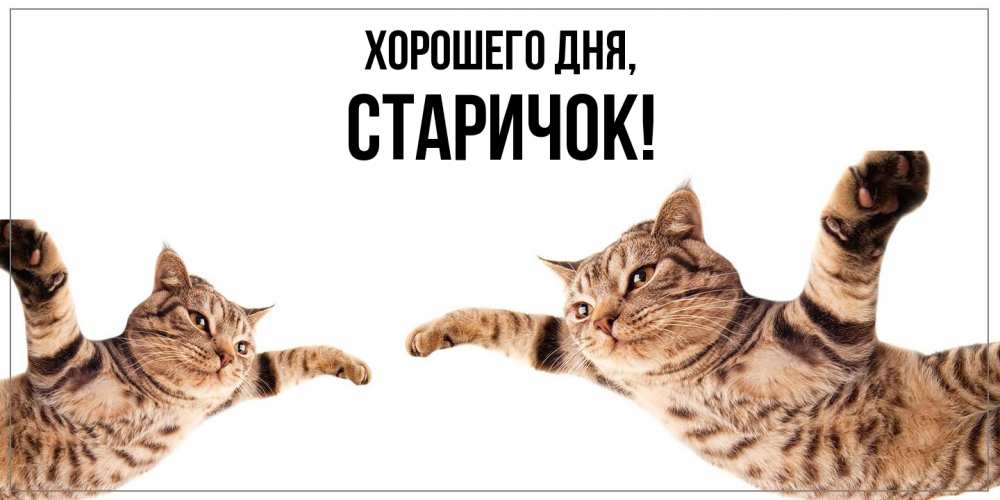 Открытка  для любимых и родных. старичок, Хорошего дня  