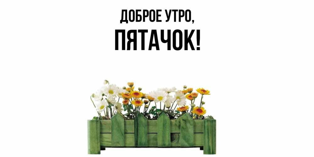 Открытка  для любимых и родных. пятачок, Доброе утро  