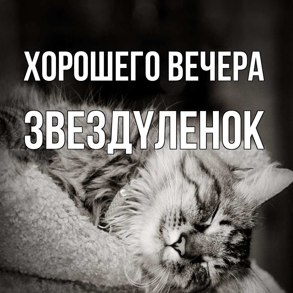 Открытка  для любимых и родных. звездyленок, Хорошего вечера  