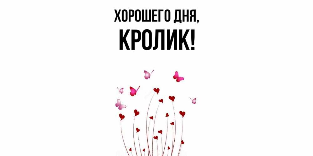 Открытка  для любимых и родных. кролик, Хорошего дня  