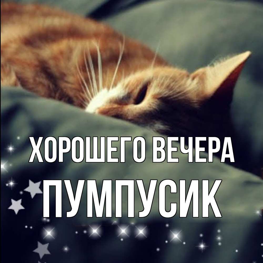 Открытка  для любимых и родных. пумпусик, Хорошего вечера  