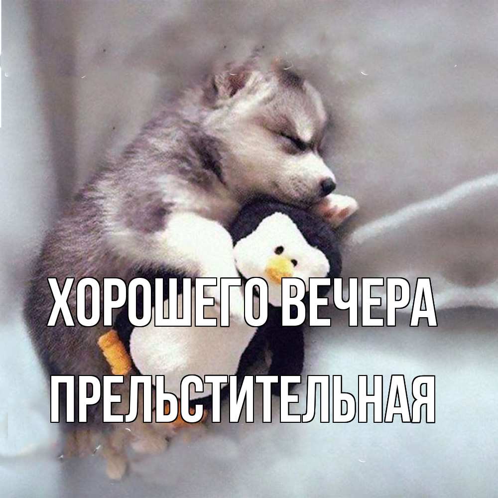 Открытка  для любимых и родных. пpельстительная, Хорошего вечера  