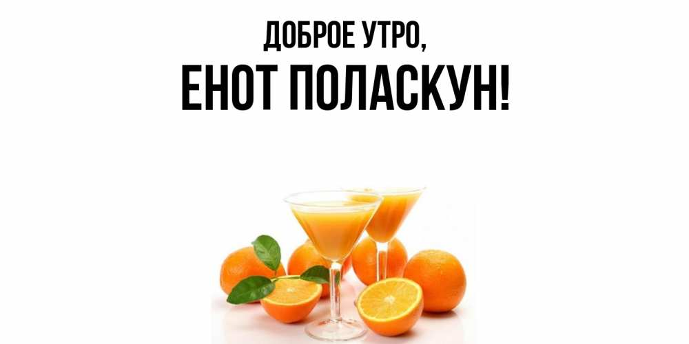 Открытка  для любимых и родных. енот, Доброе утро  