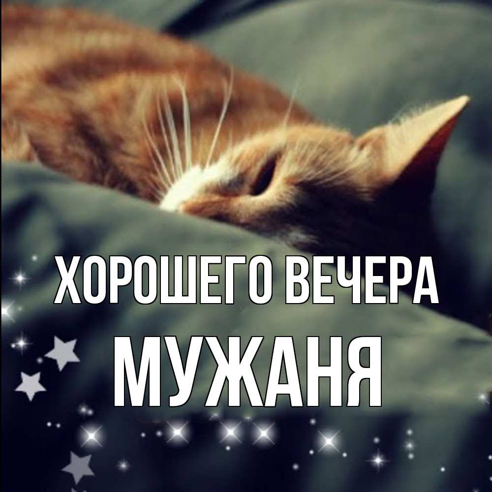 Открытка  для любимых и родных. мужаня, Хорошего вечера  