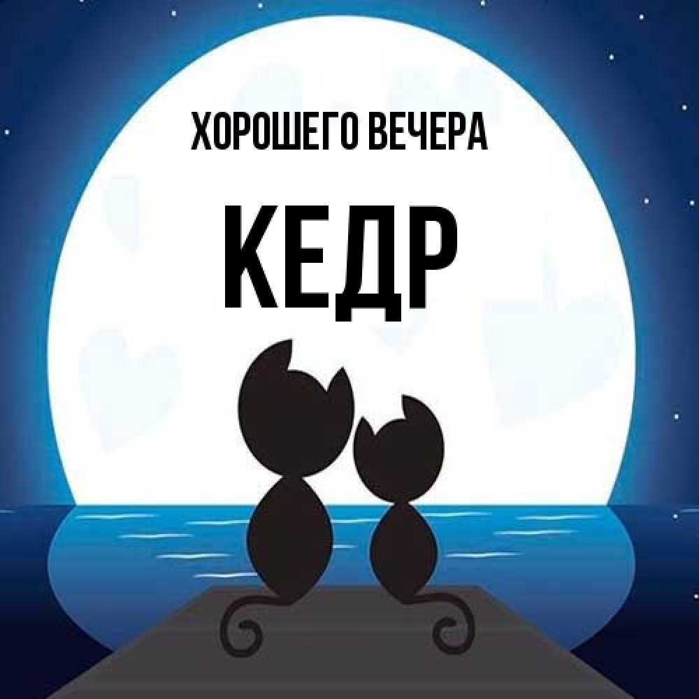Открытка  для любимых и родных. кедр, Хорошего вечера  