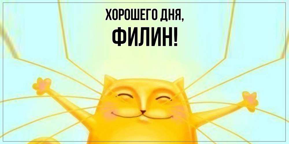 Открытка  для любимых и родных. филин, Хорошего дня  