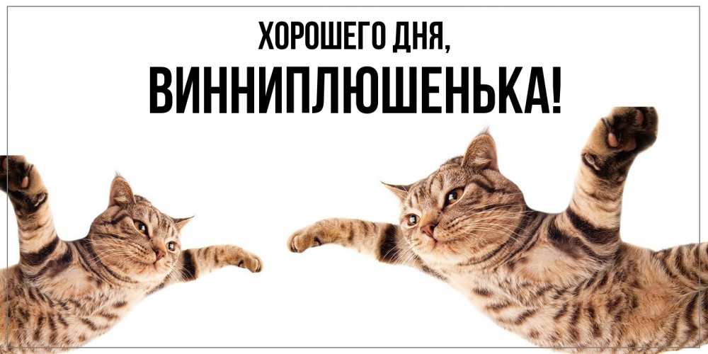 Открытка  для любимых и родных. винниплюшенька, Хорошего дня  