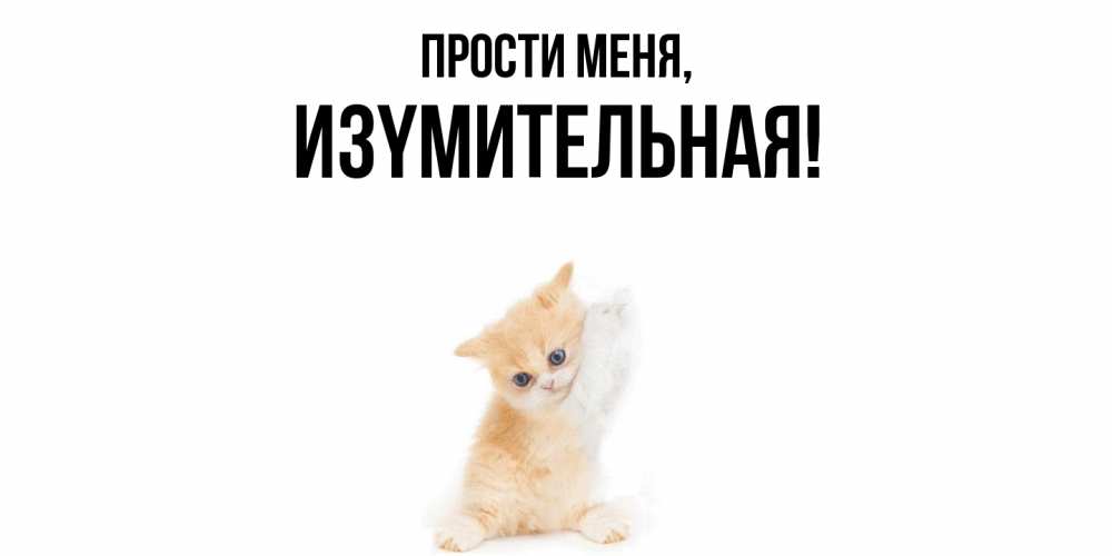 Открытка  для любимых и родных. изyмительная, Прости меня  