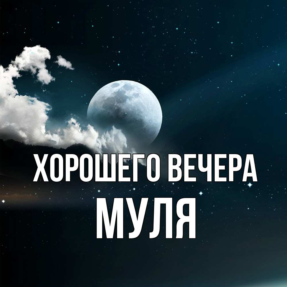 Картинка Хорошего вечера, муля