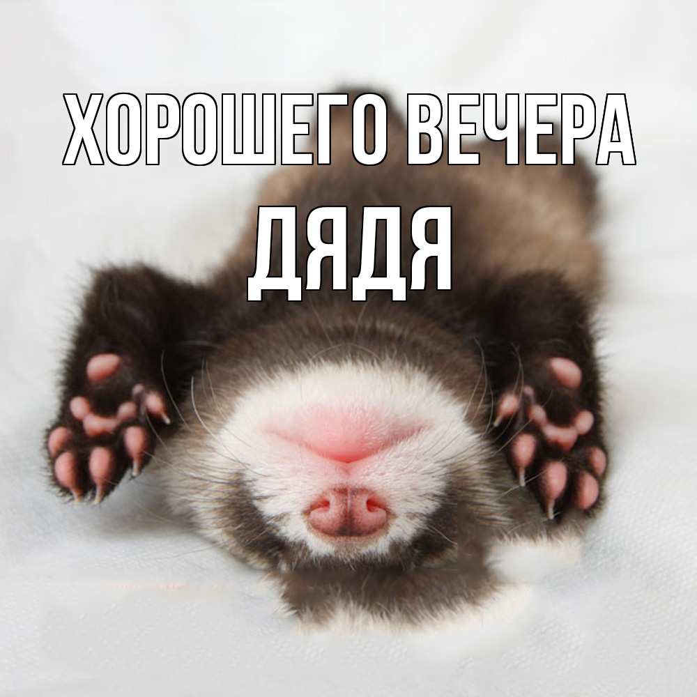 Открытка  для любимых и родных. Дядя, Хорошего вечера  