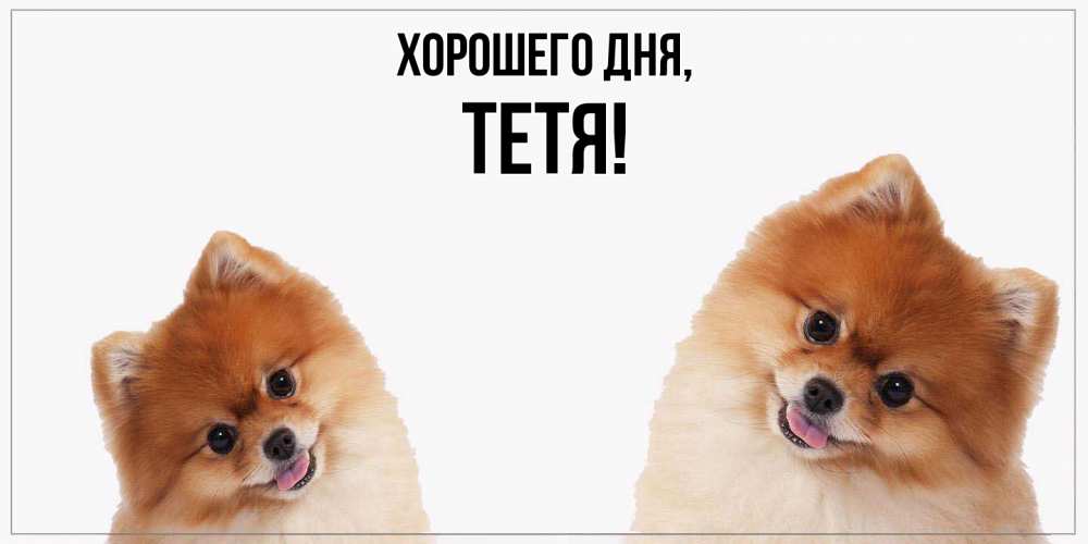 Открытка  для любимых и родных. Тетя, Хорошего дня  