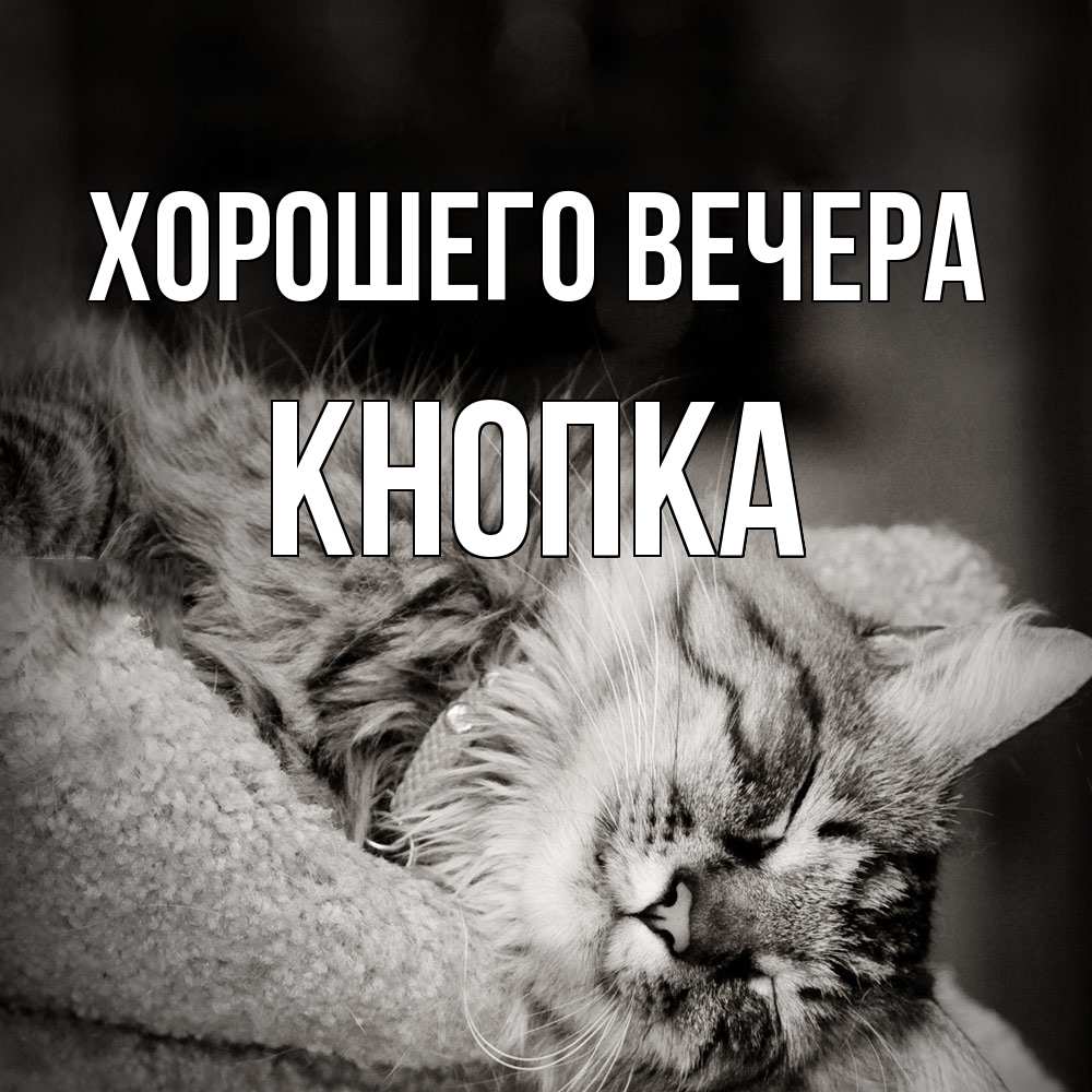 Открытка  для любимых и родных. кнопка, Хорошего вечера  