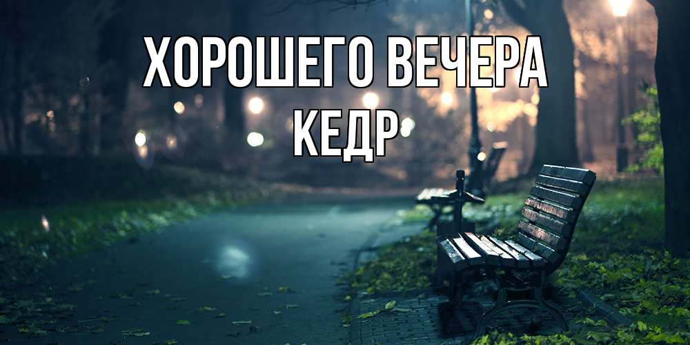 Картинка Хорошего вечера, кедр