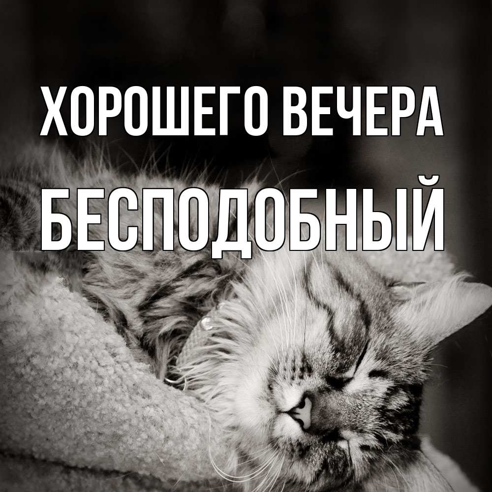 Открытка  для любимых и родных. бесподобный, Хорошего вечера  