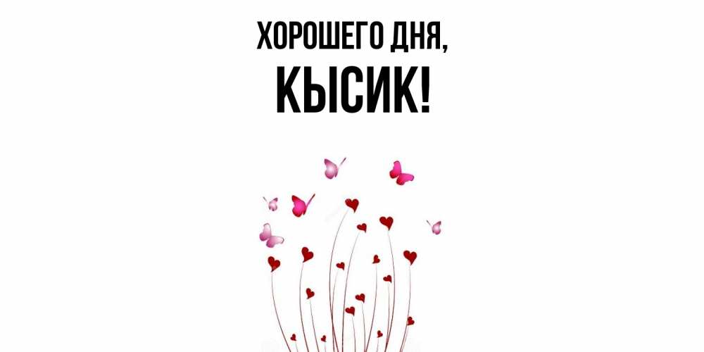 Открытка  для любимых и родных. кысик, Хорошего дня  