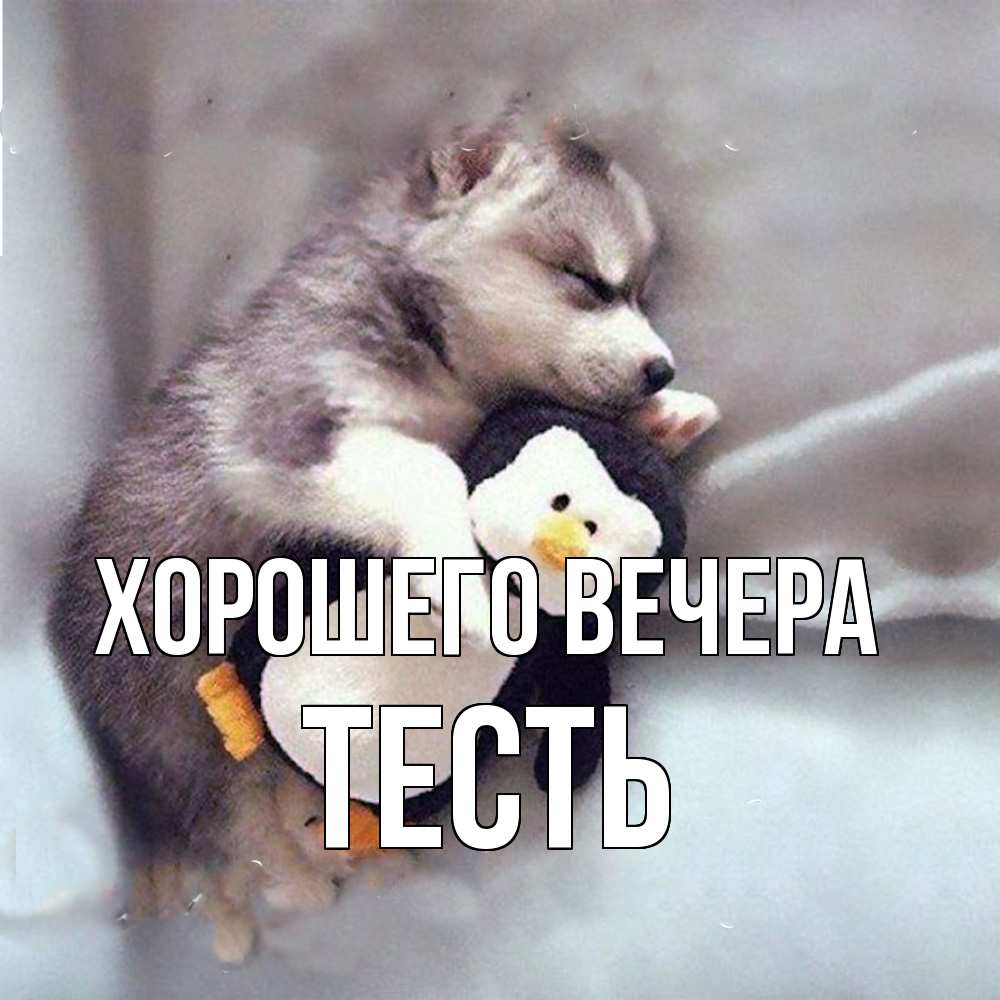 Открытка  для любимых и родных. Тесть, Хорошего вечера  