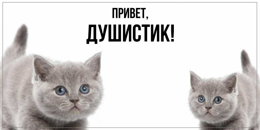 Открытка  для любимых и родных. душистик, Привет  