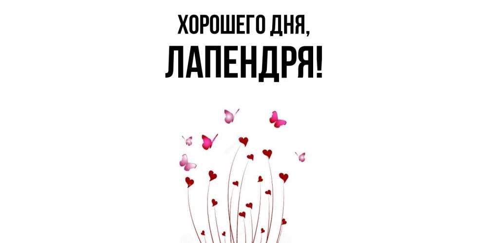 Открытка  для любимых и родных. лапендря, Хорошего дня  