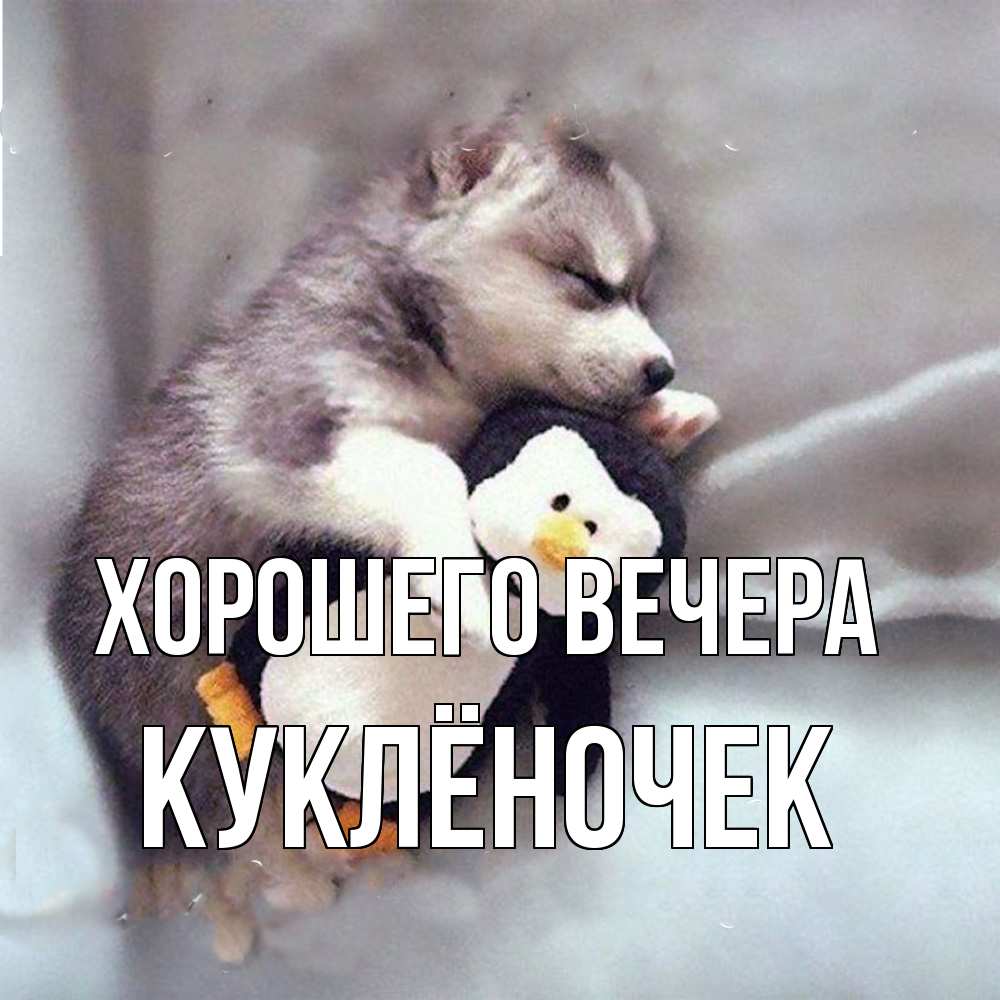 Открытка  для любимых и родных. куклёночек, Хорошего вечера  