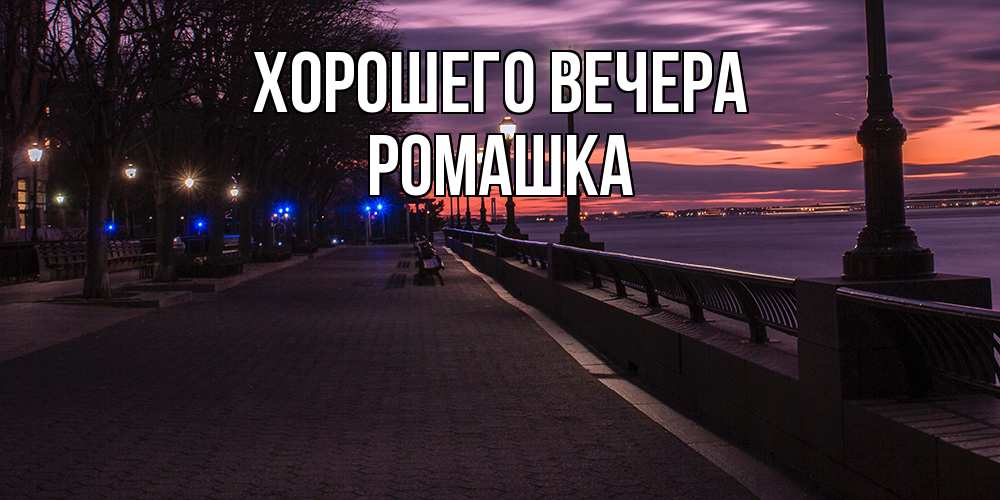 Картинка Хорошего вечера, ромашка