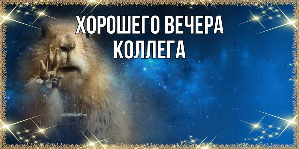 Открытка  для любимых и родных. Коллега, Хорошего вечера  