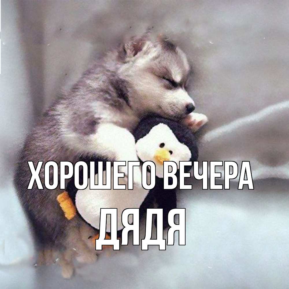 Открытка  для любимых и родных. Дядя, Хорошего вечера  